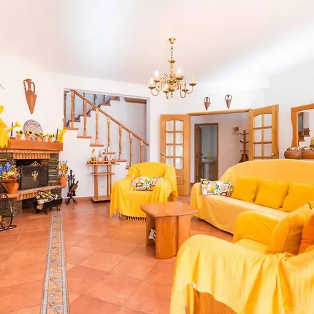 Sunflower By Seewest