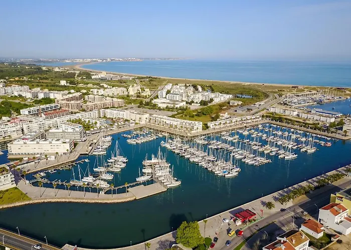 Sunflower By Seewest