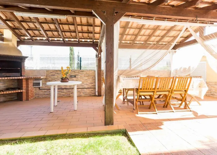 Sunflower By Seewest *