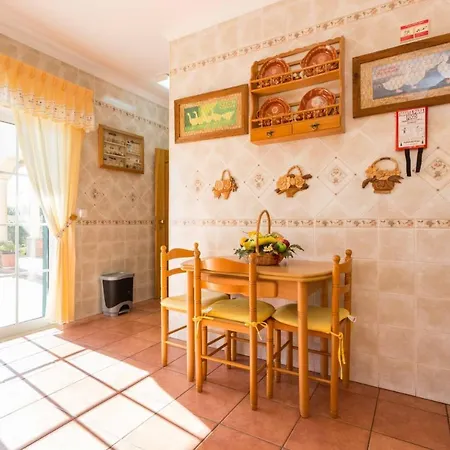 Sunflower By Seewest