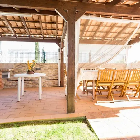 Sunflower By Seewest *